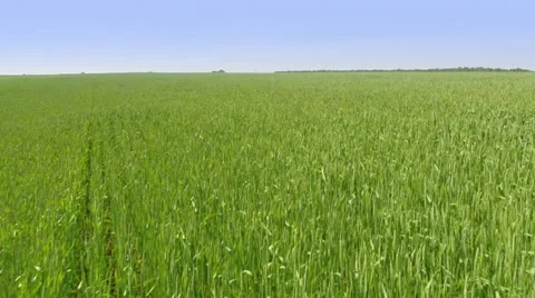 Flying over fields Stockbeeldmateriaal 39591580