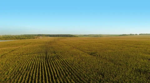Flying Over Fields Stock Footage 41070675