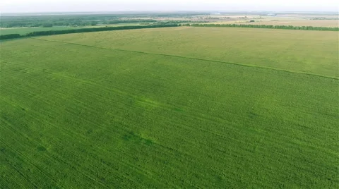 Flying Over Fields 動画素材 41071043