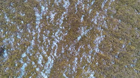 Flying Over the Fields Video stock 43562449