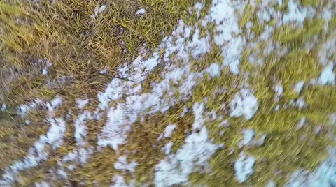 Flying Over the Fields Video stock 43562807