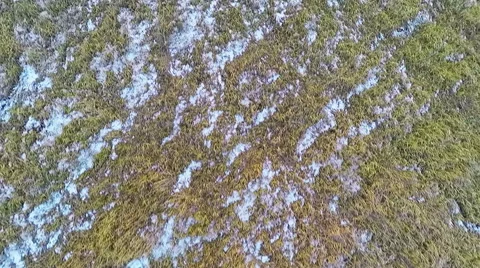 Flying Over the Fields Video stock 43562950