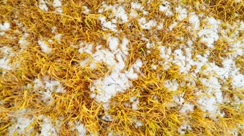 Flying Over the Fields Stock Footage 43562959