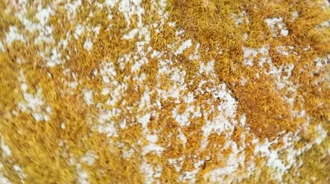 Flying Over the Fields Video stock 43563260