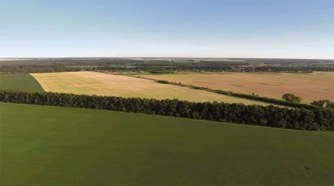 Flying over fields 動画素材 52320099