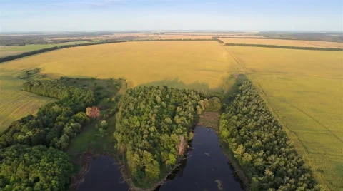 Flying over fields 動画素材 58800273