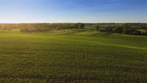 Flying over fields Stock Footage 100661982