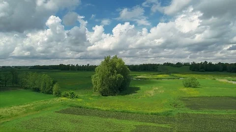 Flying over fields Stock Footage 100662043