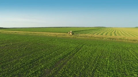 Flying over fields Stock Footage 100662331