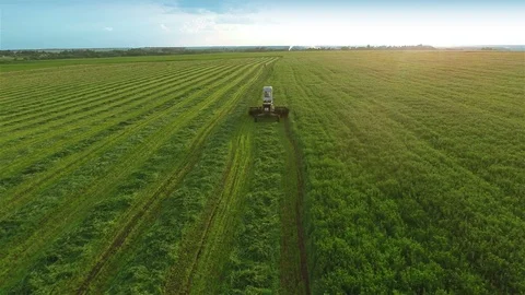 Flying over fields Stock Footage 100662369