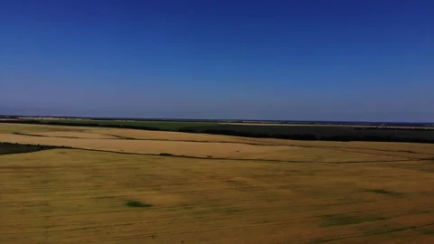 Flying over fields. Stock Footage 111391563
