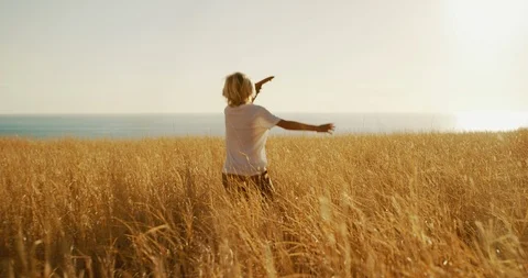 Flying over fields of gold Stock Footage 101395294