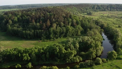 Flying over the fields, meadows and rivers, Summer is a sunny day. 스톡 동영상 109225508