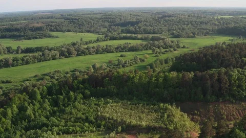 Flying over the fields, meadows and rivers, Summer is a sunny day. 스톡 동영상 109225603