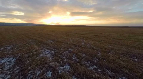 Flying Over the Fields to Meet the Sun Video stock 43562228