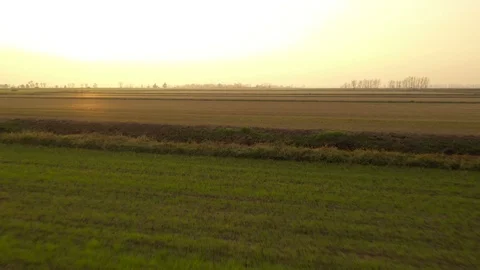 Flying over the fields at sunset - golden sunset Video stock 99248409