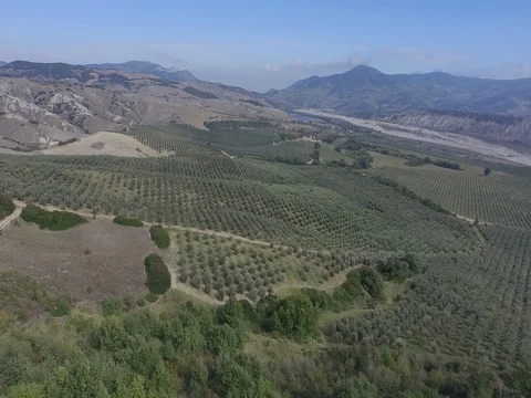 Flying over the fields with the view of the hills Stock Footage 72432849