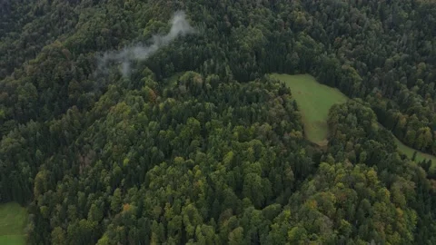 Flying over fir trees on the mountains  with a bit of fog Stock Footage 167876457