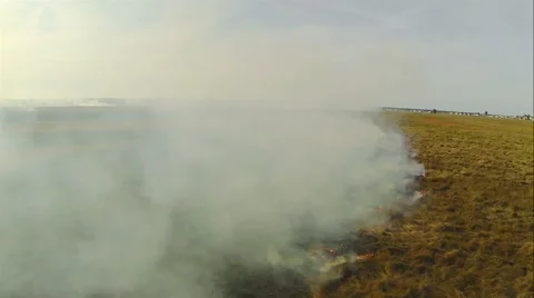 Flying over the a fire in a field. The low. Aerial view Stock Footage 41976308