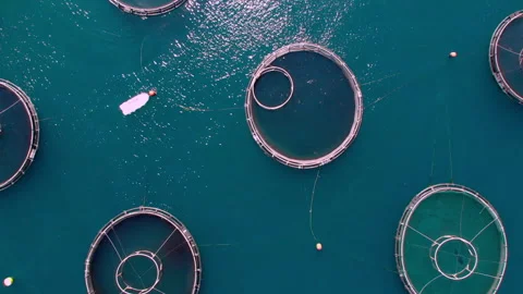 Flying over fishing nets 스톡 동영상 183517899