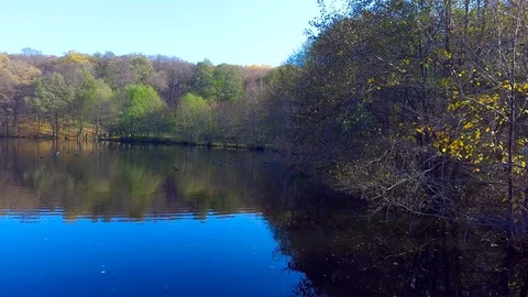 Flying over floating ducks Stock Footage 103402548