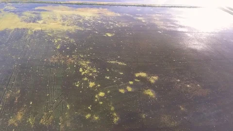 Flying over flooded rice fields Stock Footage 92371362