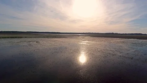 Flying over flooded rice fields Stock Footage 92371584
