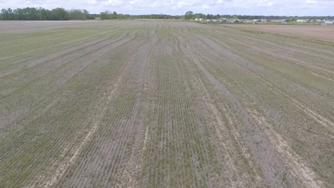 Flying over flooded rice fields Stock Footage 92371634