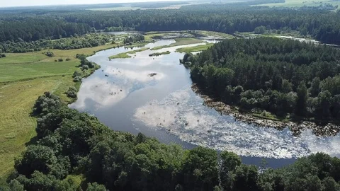 Flying over the floods of the river Chernitsa Stock Footage 101471014