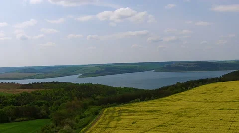 Flying over flowering field Video stock 50024452