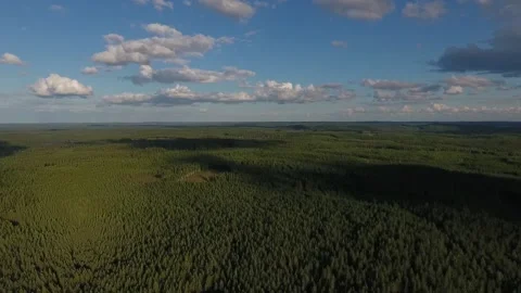 Flying over the forest. Aerial view of forest and clouds in Finland Stock Footage 134793860