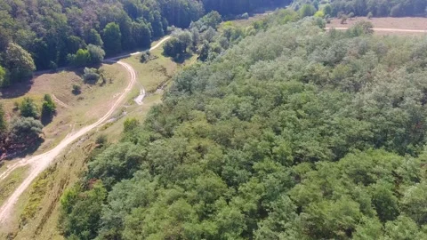 Flying over forest, aerial view of beautiful landscape trees Stock-Footage 250251342