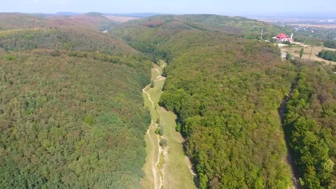 Flying over forest, aerial view of beautiful landscape trees Video stock 250251351