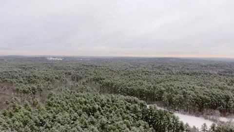 Flying Over Forest After Fresh Snowfall Video stock 147755149