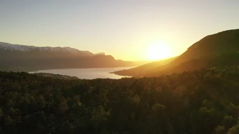 Flying over forest against beautiful sunset Stock Footage 157697228