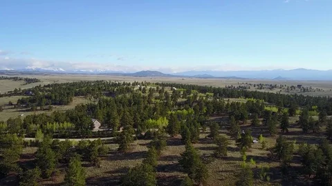 Flying Over Forest and Cabin Stock Footage 78307972