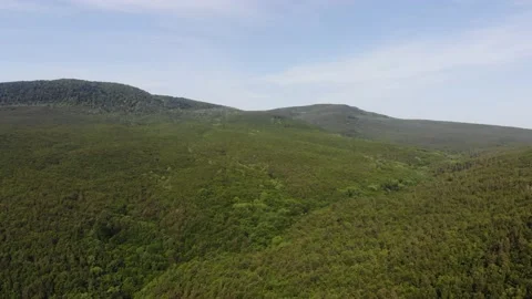 Flying over the forest and Caucasus mountains. Stock Footage 132501992