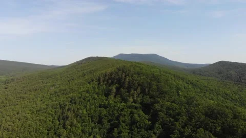 Flying over the forest and Caucasus mountains. Stock Footage 132502063