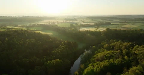 Flying over forest and English countryside Stock Footage 334046479