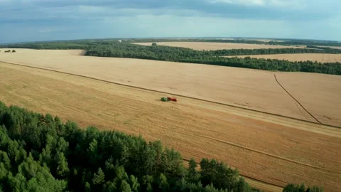 Flying over a forest and field where combines collect grain Stock Footage 136445007