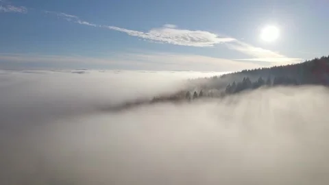 Flying over the forest and lake covered with fog Stock Footage 295320972