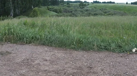 Flying over the forest and meadows with water 動画素材 62642222