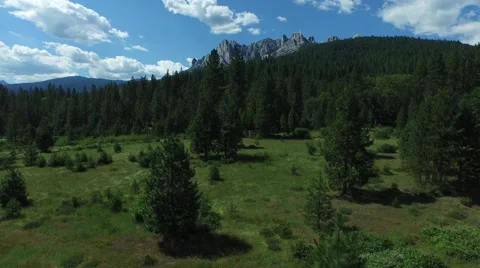 Flying over a forest and mountain with blue skies | castle crags, redding ca Stock Footage 53302300