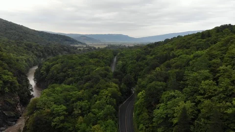 Flying over the forest and mountain river. Stock Footage