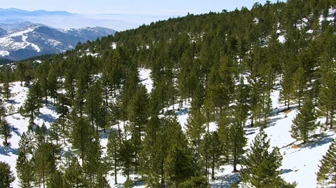 Flying over forest and mountains, California Stock Footage 62283528