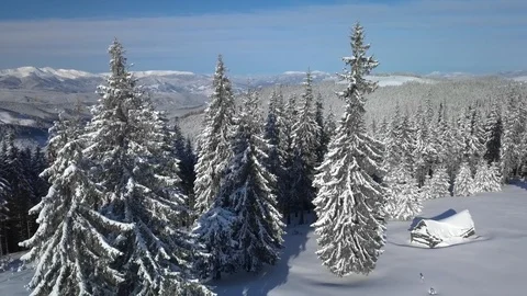 Flying over the forest and mountains in winter Stock Footage 104006080