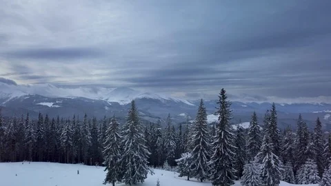 Flying over the forest and mountains in winter Stock Footage 105346784