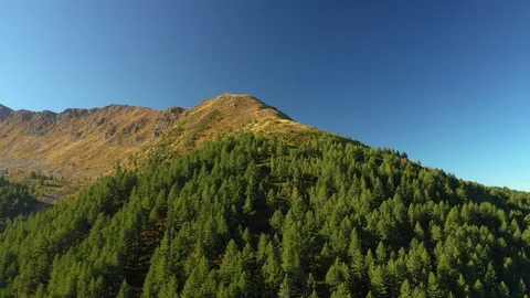 Flying Over The Forest  and Mountains, Wonderful Nature Landscape Stock Footage 123768761