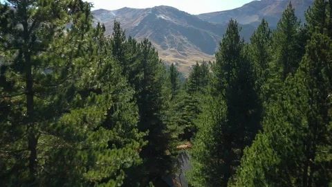 Flying Over The Forest  and Mountains, Wonderful Nature Landscape Stock Footage 123769490