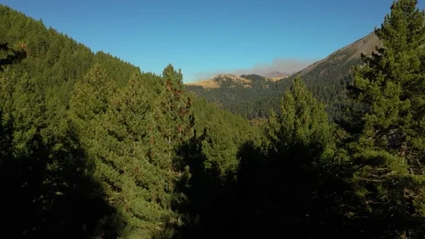 Flying Over The Forest  and Mountains, Wonderful Nature Landscape Stock Footage 123769778